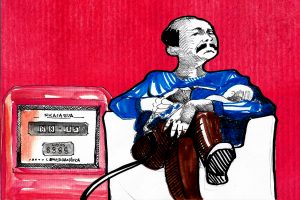 El consorcio público-privado DNP-PETRONIC