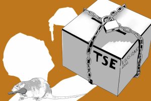 Pactos y trabas de partidos mayoritarios para controlar transmisión de resultados en las elecciones de Honduras
