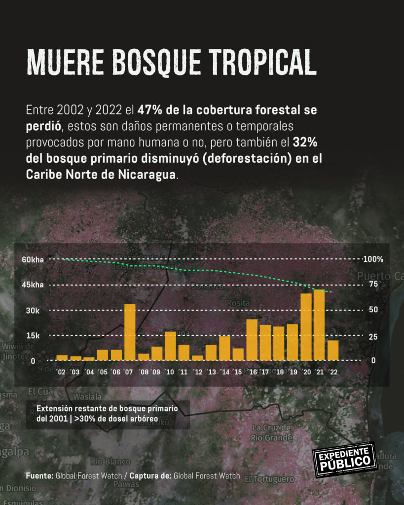 Recursos naturales de comunidades indígenas en Nicaragua, en peligro por voracidad de China