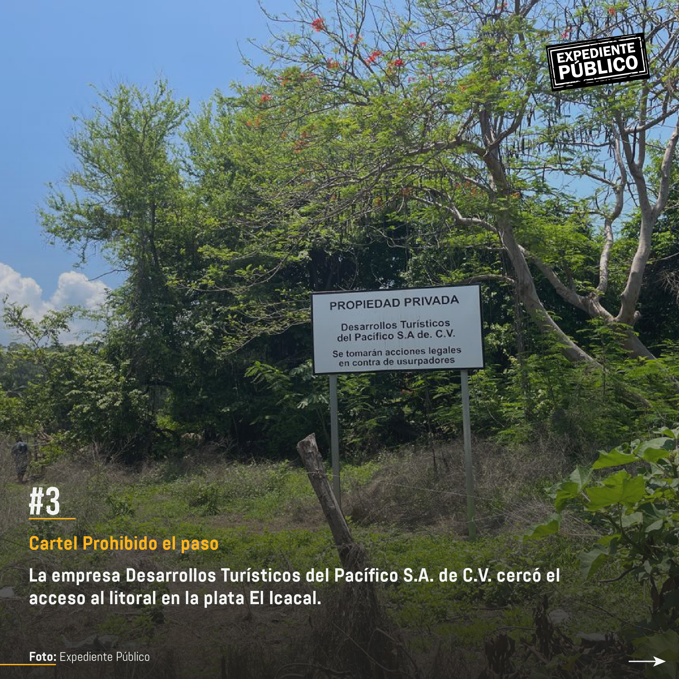 Surf City 2 por devorar reserva natural