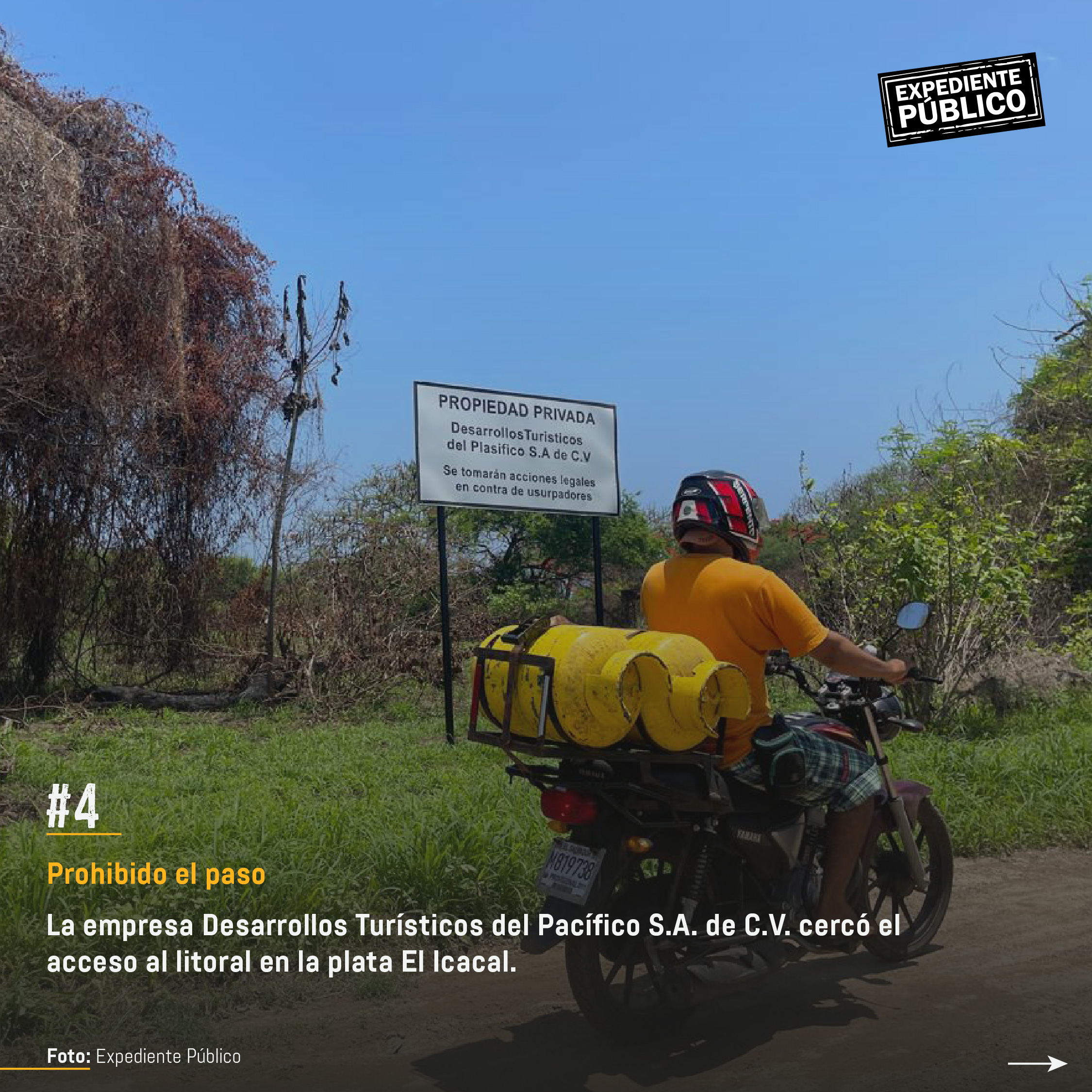 Surf City 2 por devorar reserva natural