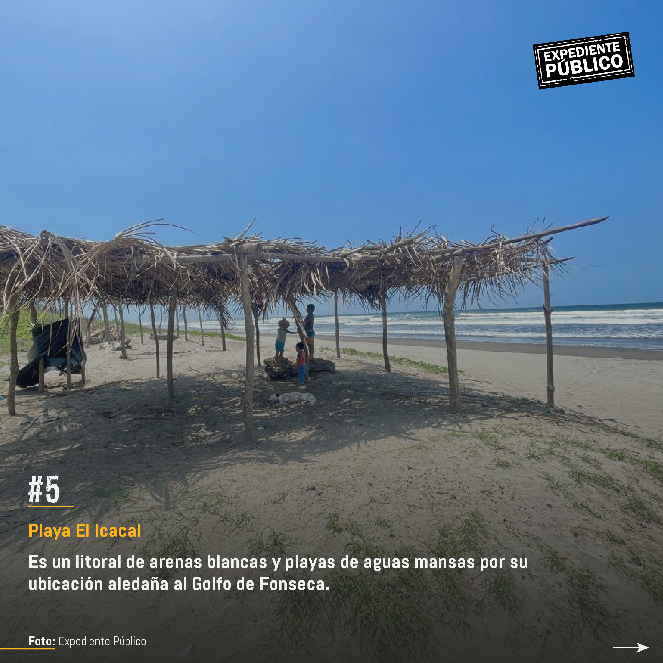 Surf City 2 por devorar reserva natural