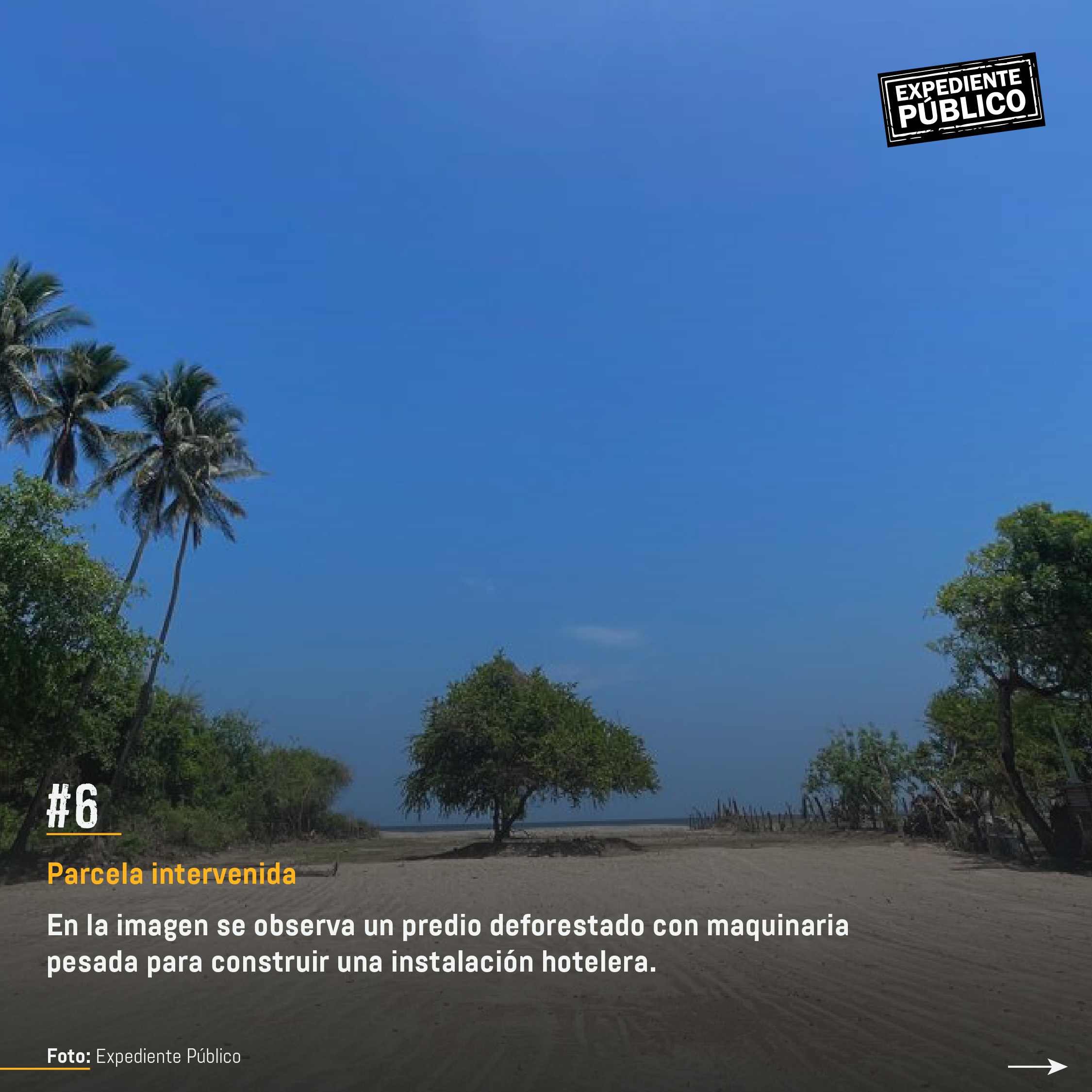 Surf City 2 por devorar reserva natural