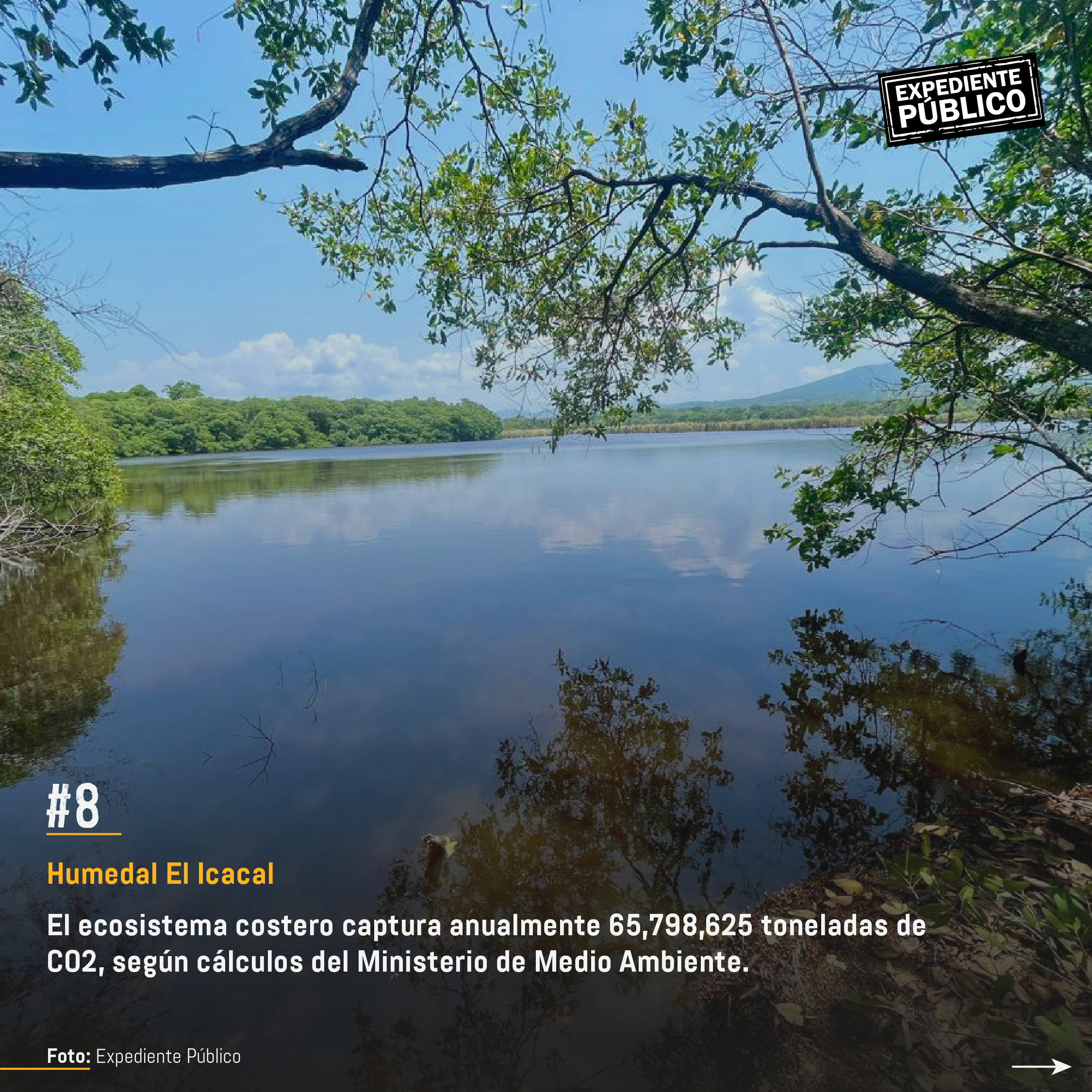 Surf City 2 por devorar reserva natural