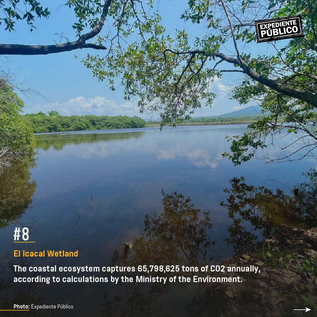 Surf City 2 devours nature reserve in El Salvador