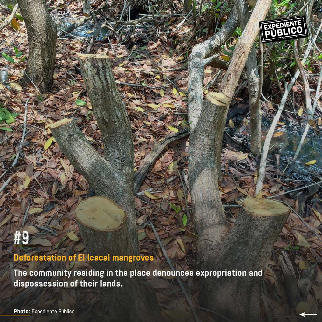 Surf City 2 devours nature reserve in El Salvador