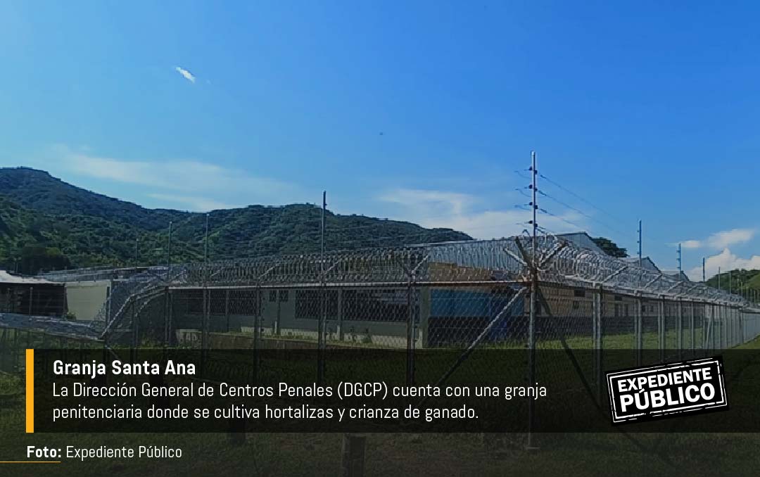 Bukele recicla programa de trabajo de reos ante críticas por hacinamiento carcelario