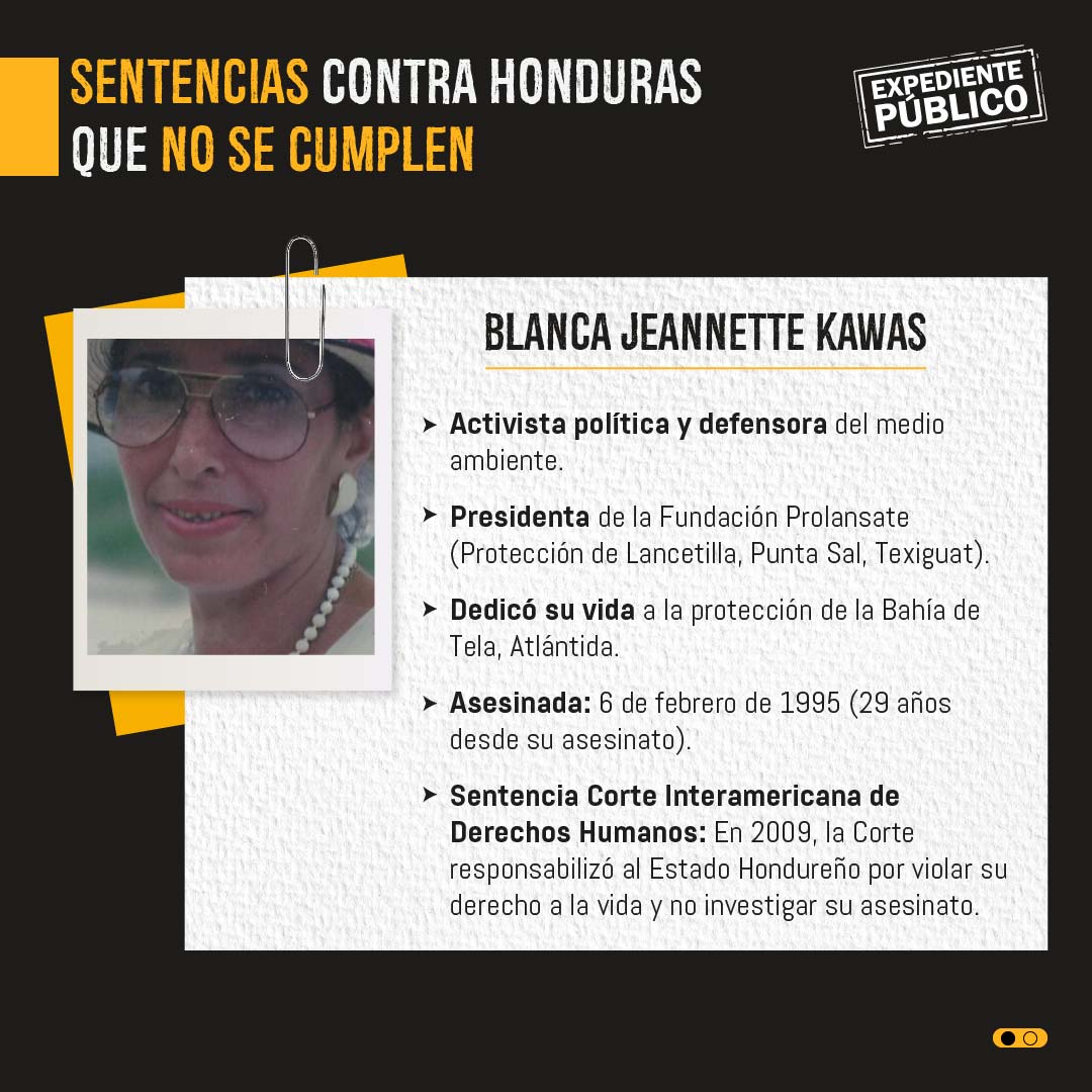 Violencia contra ambientalistas en Honduras alarma bajo gobierno de Castro