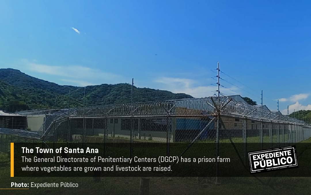 Inside Nayib Bukele's prisons