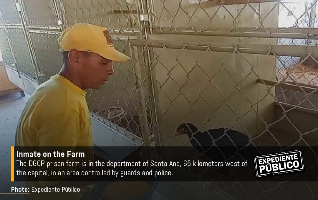 Inside Nayib Bukele's prisons