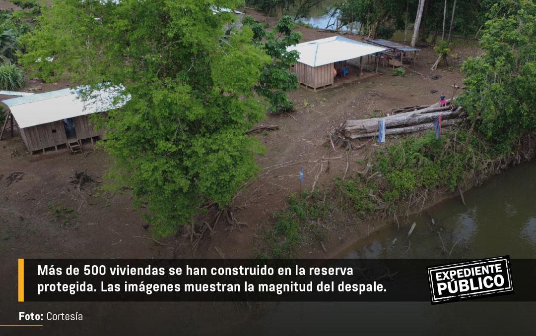 Régimen de Nicaragua impulsa daño ambiental masivo en reserva Indio Maíz