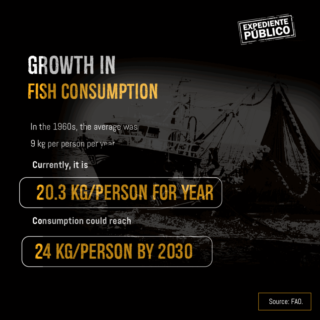 What is China’s connection to illegal fishing and environmental harm in Argentina’s South Atlantic? 