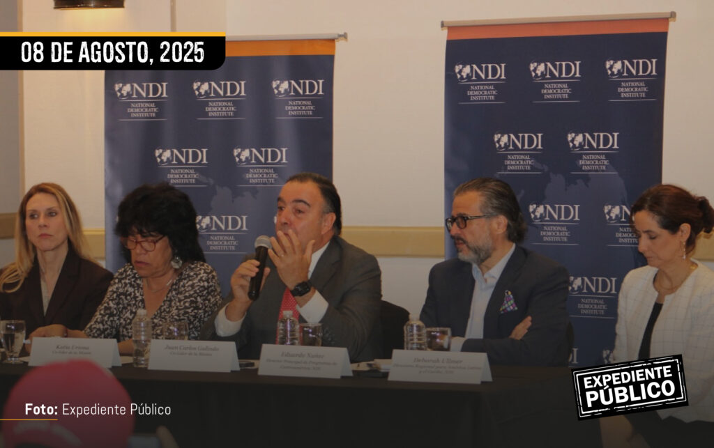 Katia Uriona, co-líder de la Misión de Acompañamiento y Evaluación Electoral del NDI