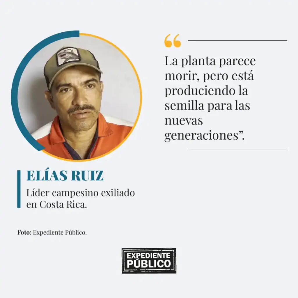 Fisuras y división entre campesinos exiliados