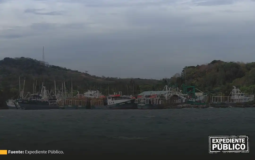 Empresas offshore controlan comercio de langosta en Islas de la Bahía