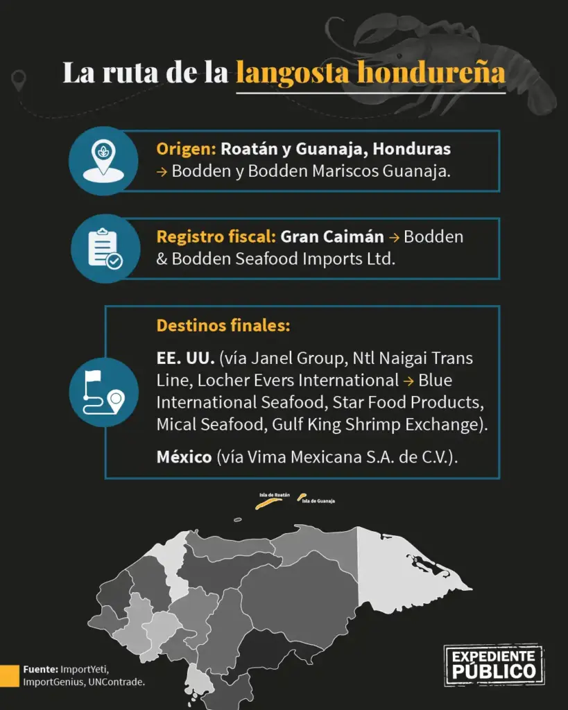 Empresas offshore controlan comercio de langosta en Islas de la Bahía