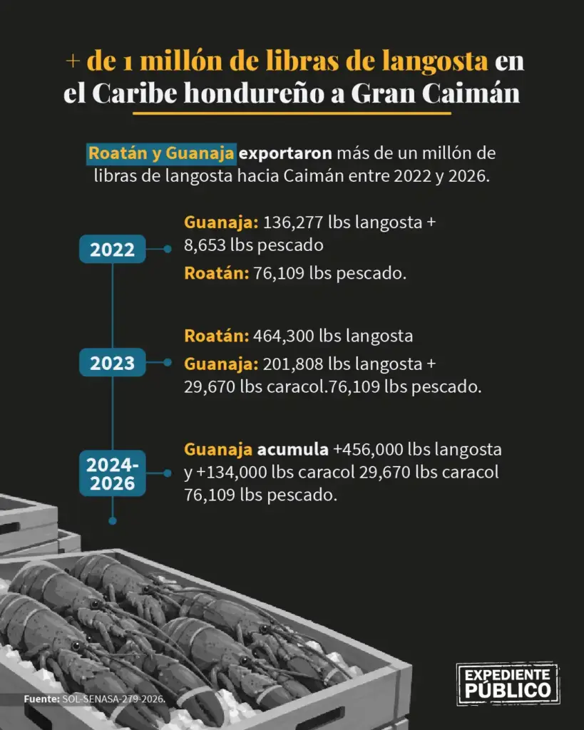 Empresas offshore controlan comercio de langosta en Islas de la Bahía