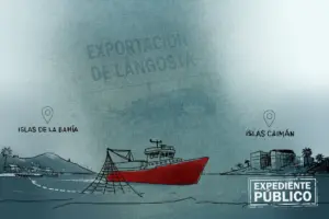 Empresas offshore controlan comercio de langosta en Islas de la Bahía 